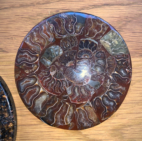 Plaque d'ammonite, Plateau en ammonites de Madagascar