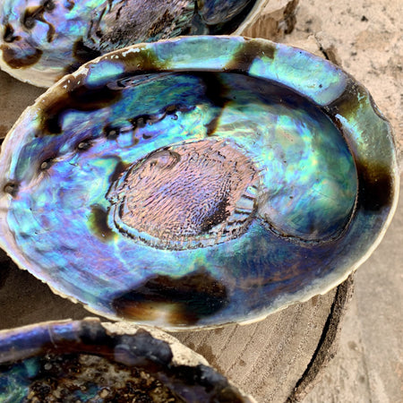 Pendentif en nacre d'abalone argent, ormeau