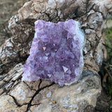 Cluster of extra quality amethysts, large crystals