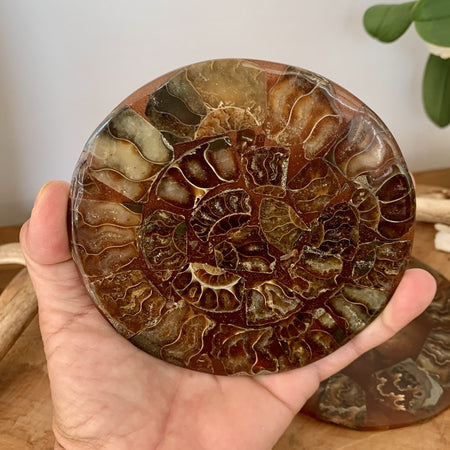 Energizing tray orgonite black obsidian engraved metatron