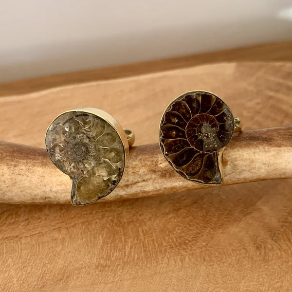 Bague d'ammonite naturelle ajustable