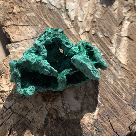 Cabochons en turquoise naturelle