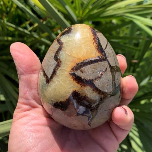 Septaria egg and yellow calcite of 530g