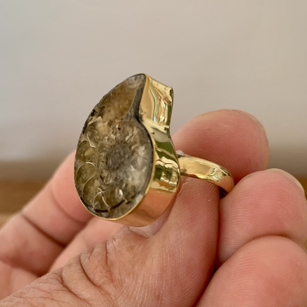 Bague d'ammonite naturelle ajustable