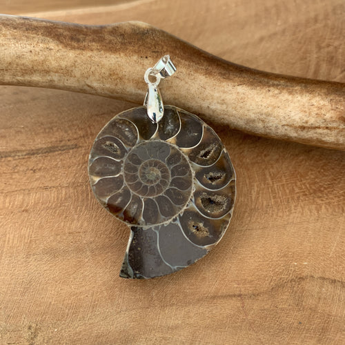 Pendentif fossile d'ammonite, ammonite naturelle, bijoux en fossile, bijoux d'été