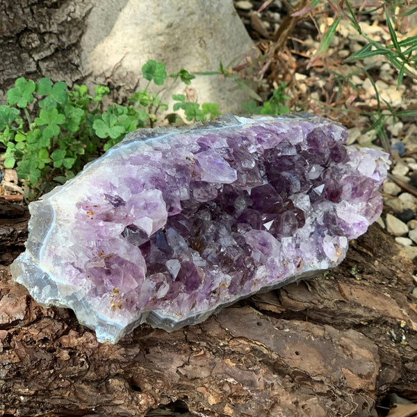 Large amethyst druse with goethite 957g, collector's item