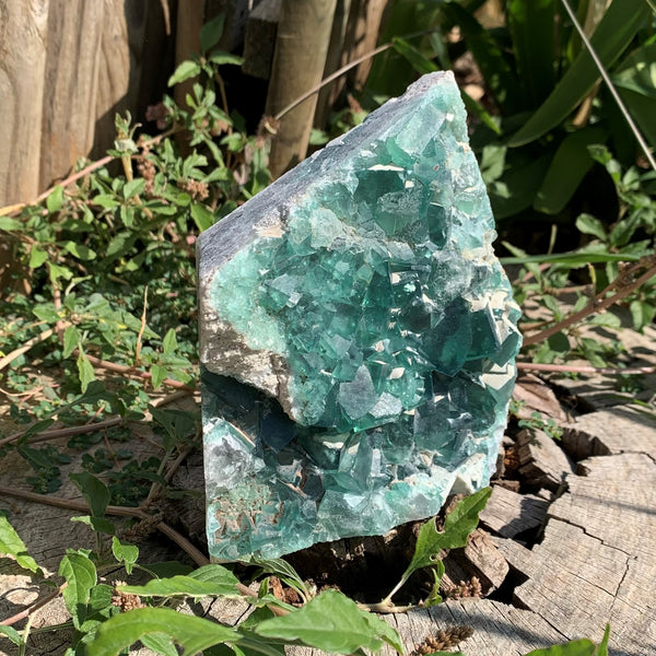 Fluorite verte cristallisée 997g, "la pierre du génie"